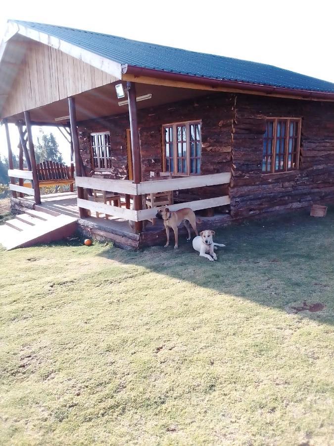 Appartement The Wonky House à Timau Extérieur photo